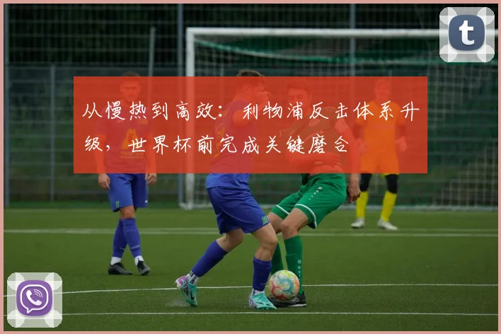 从慢热到高效：利物浦反击体系升级，世界杯前完成关键磨合